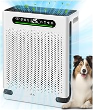 air purifiers
