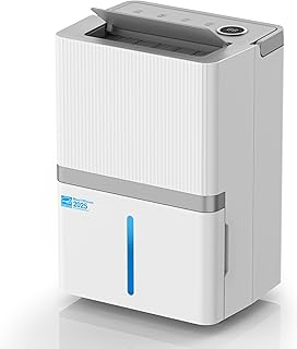 dehumidifier for mold prevention