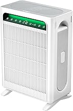 KNKA Air Purifier for Home