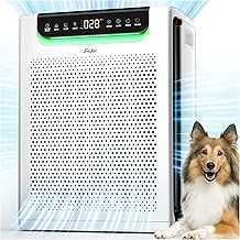 air purifier with washable filter
