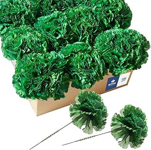 Fresh mint green carnations for floral arrangements