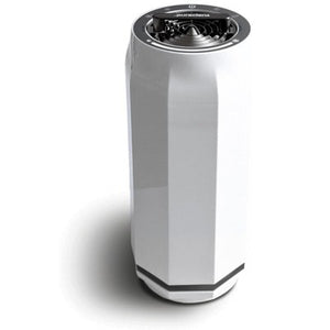 air purifier for mold