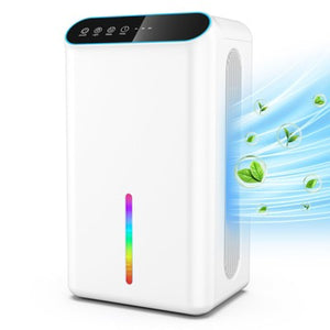 dehumidifier for crawl space