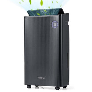 dehumidifier for basement