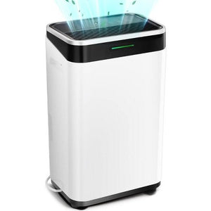 dehumidifier for apartment