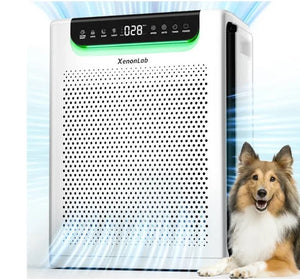 air purifier
