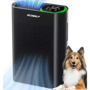 air purifier for cooking odors